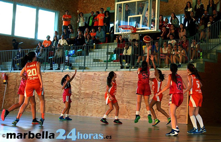 Las infantiles del Costa Marbella no superan las semis ante El Palo