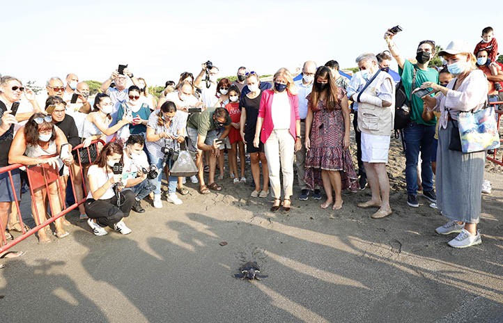 Ecologistas critican la "romería" para liberar a las tortugas bobas en Marbella