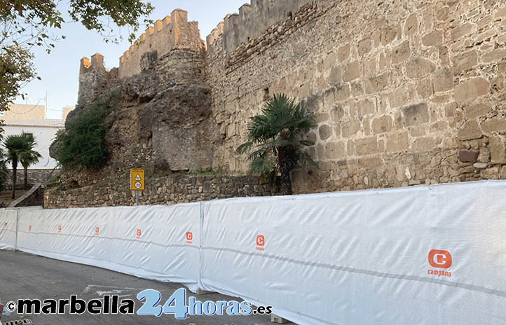 El Ayuntamiento elimina dos palmeras y un palmito en la Muralla de Marbella