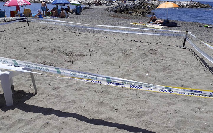 Una tortuga boba anida en la playa de Nueva Andalucía de Marbella