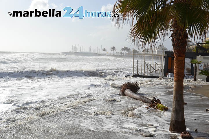 Marbella encarga planes de emergencia ante terremotos y maremotos