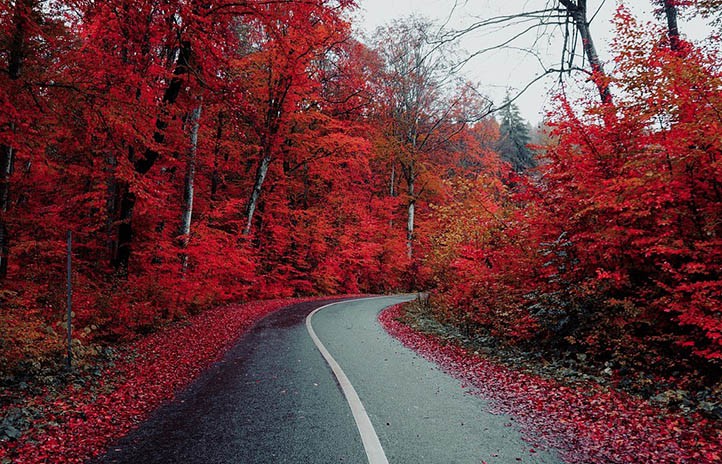 Prepara el coche ante las inclemencias del otoño