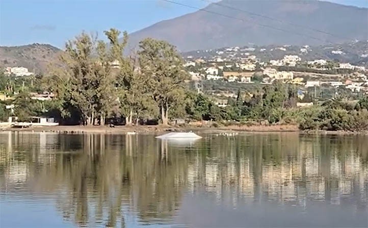 Tras el desastre en Las Medranas, la alcaldesa anuncia un plan integral