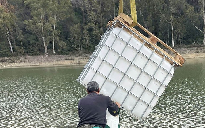 Califican de "magnífico trabajo" el traslado de peces de Las Medranas