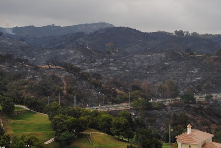 El incendio más grave sufrido en la Costa del Sol