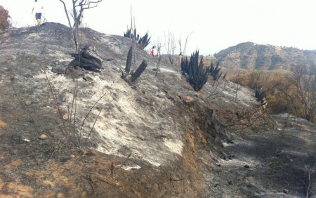 Extinguido el incendio que ha calcinado 8.225 hectáreas