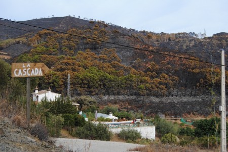 La rápida intervención evitó que el fuego arrasara el doble de hectáreas