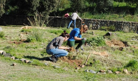 Más de 200 voluntarios plantan más de 2.000 árboles y plantas en la iniciativa de Arboretum