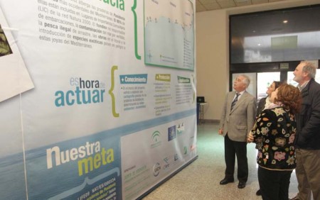 El Palacio de Congresos acoge una exposición sobre las praderas de posidonias en el Mediterráneo