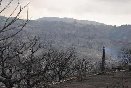 El Gobierno aprueba 1,5 millones de euros para reparar los daños del incendio de agosto de 2012