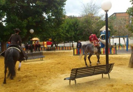 El PSOE denuncia que los caballos de la corridas de toros realizan ejercicios en parques infantiles