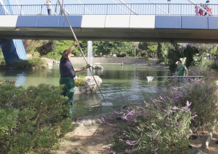 El Ayuntamiento informa de la limpieza en los lagos de La Represa