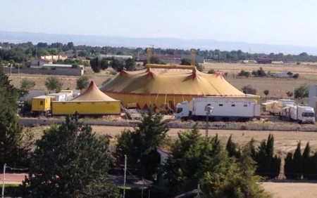 Marbella prohibirá la instalación de circos que lleven animales salvajes