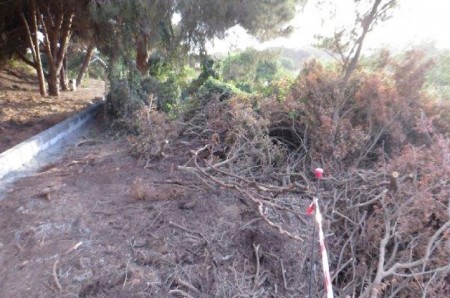 Ecologistas en Acción denuncia en Fiscalía daños en las Dunas de Artola