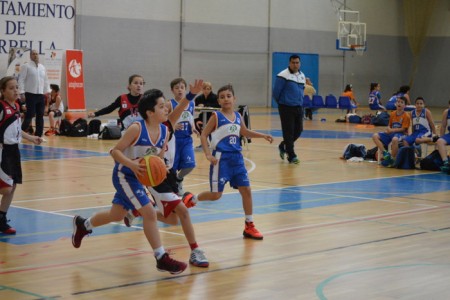 El minibasket 2005 logra la única victoria del CB Marbella esta jornada