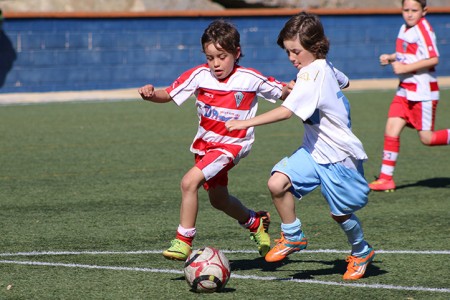 Publicadas las bases para la concesión de subvenciones deportivas