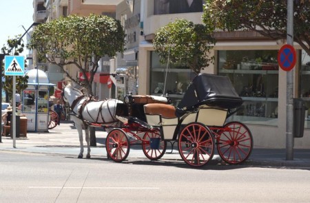 El Ayuntamiento anuncia una parada en la Alameda para los coches de caballos