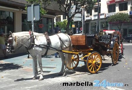 Marbella quiere eliminar en tres años los paseos en coches de caballos