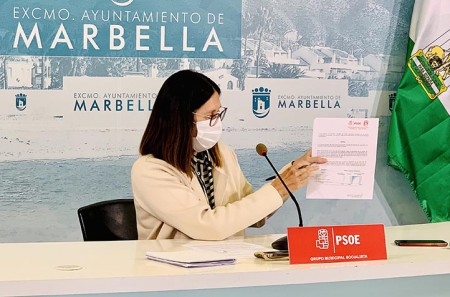 El PSOE pide una regulación municipal para las viviendas turísticas en Marbella